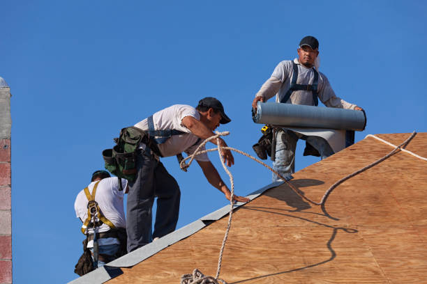 Best Roof Gutter Cleaning  in Imlay City, MI