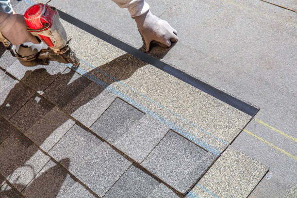 Best Local Roofing Companies  in Imlay City, MI