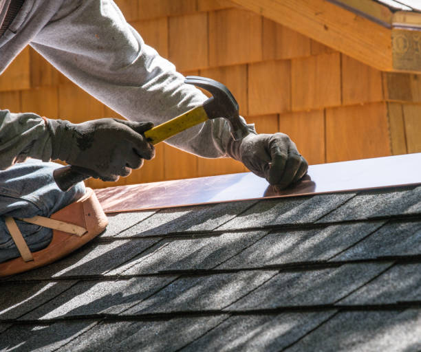 Best Metal Roofing Contractor  in Imlay City, MI